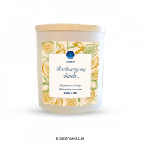 swieca zimowa_v2-500x500.png