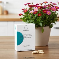 Kolagen Collup Colway International.jpg